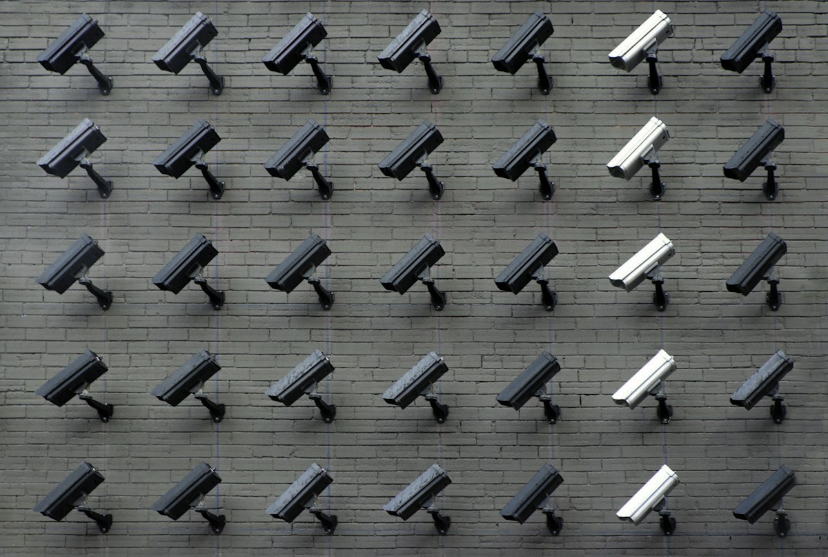 Electronic surveillance camera systems